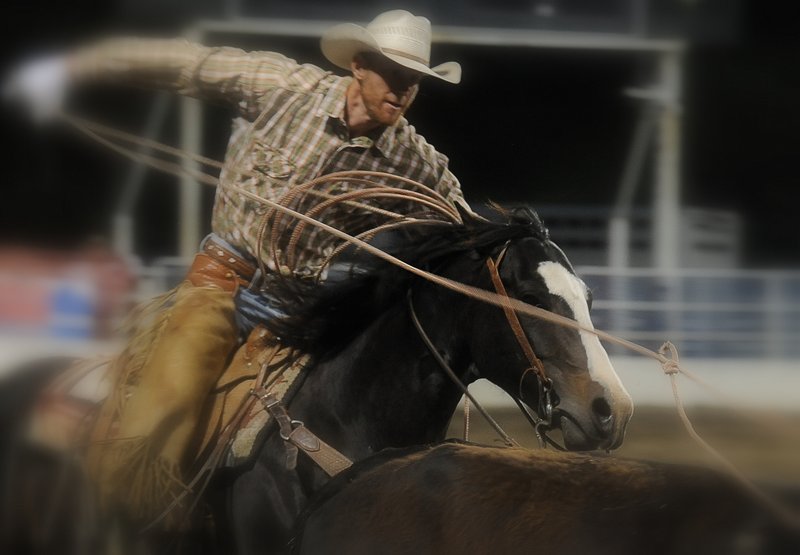 ©Bill Patterson, Patterson Photograpy a photo of a cowboy in a corral on a running black horse throwing a rope