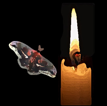 stylized moth flying toward a candle flame